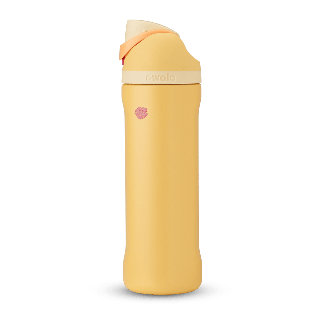 Disney Princess Collection Water Bottle AZMPO