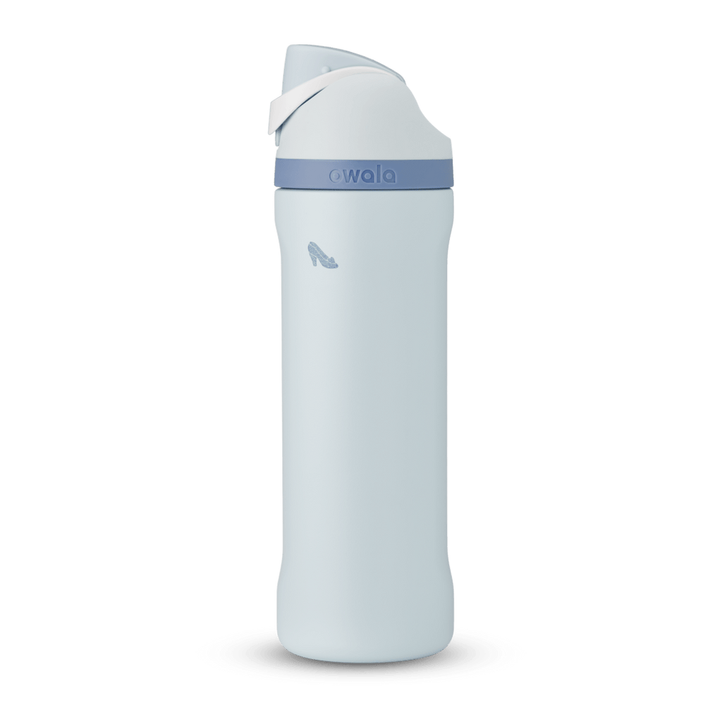 Disney Princess Collection Water Bottle AZMPO