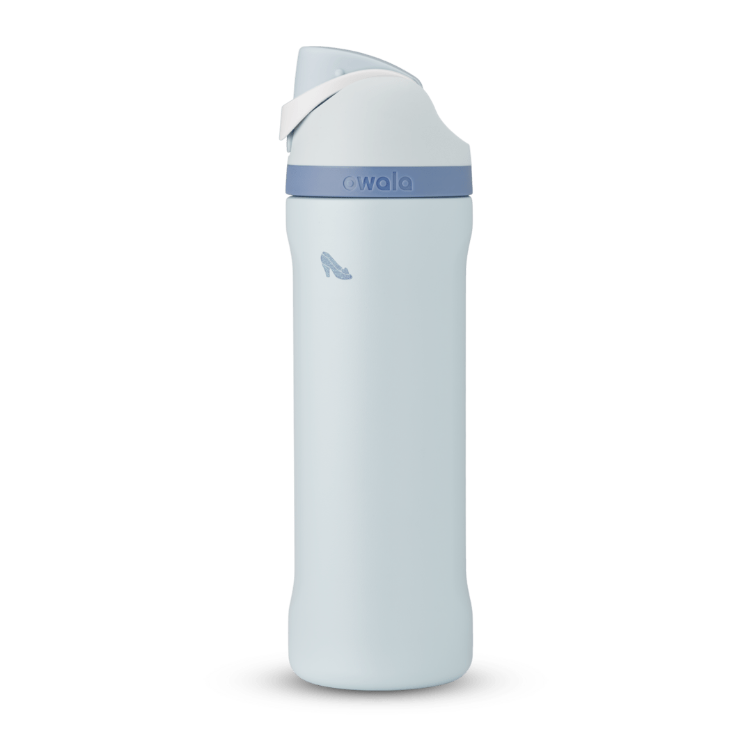 Disney Princess Collection Water Bottle AZMPO