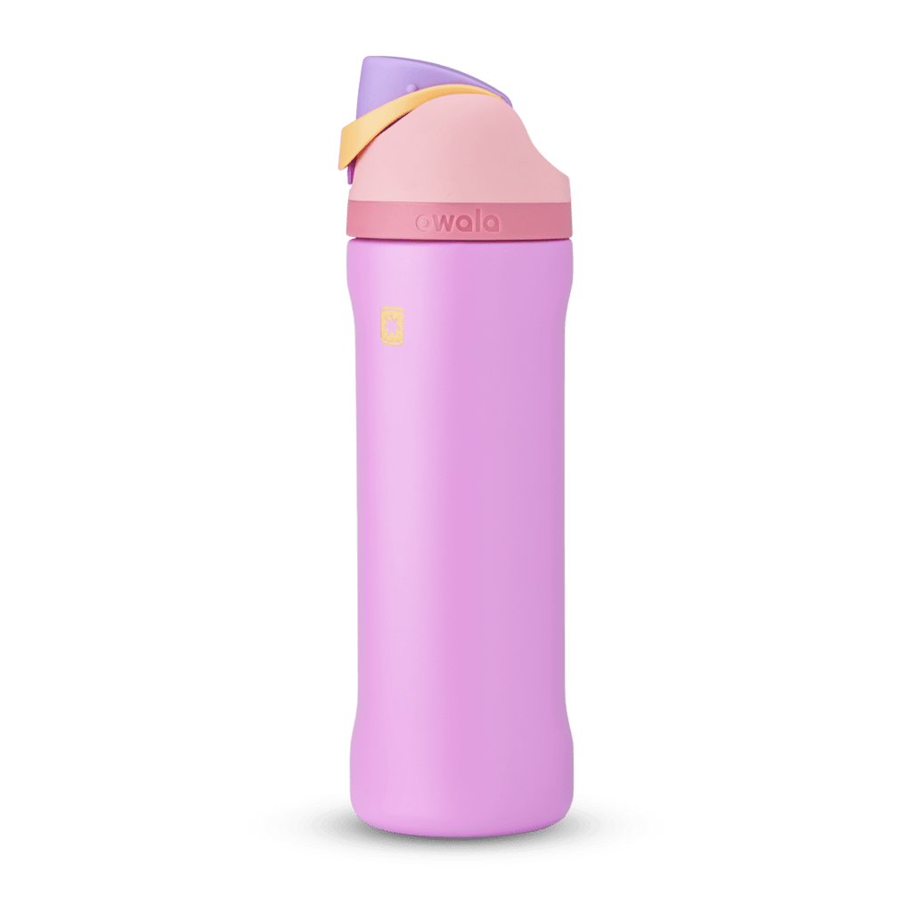 Disney Princess Collection Water Bottle AZMPO