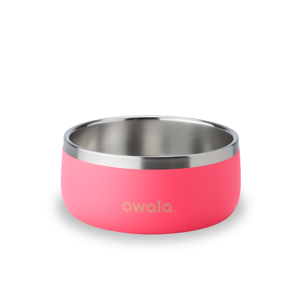 Pet Bowl Water Bottle KZFX9