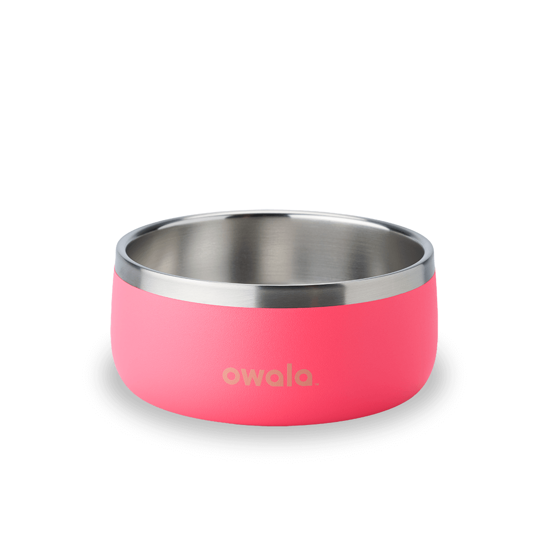 Pet Bowl Water Bottle KZFX9