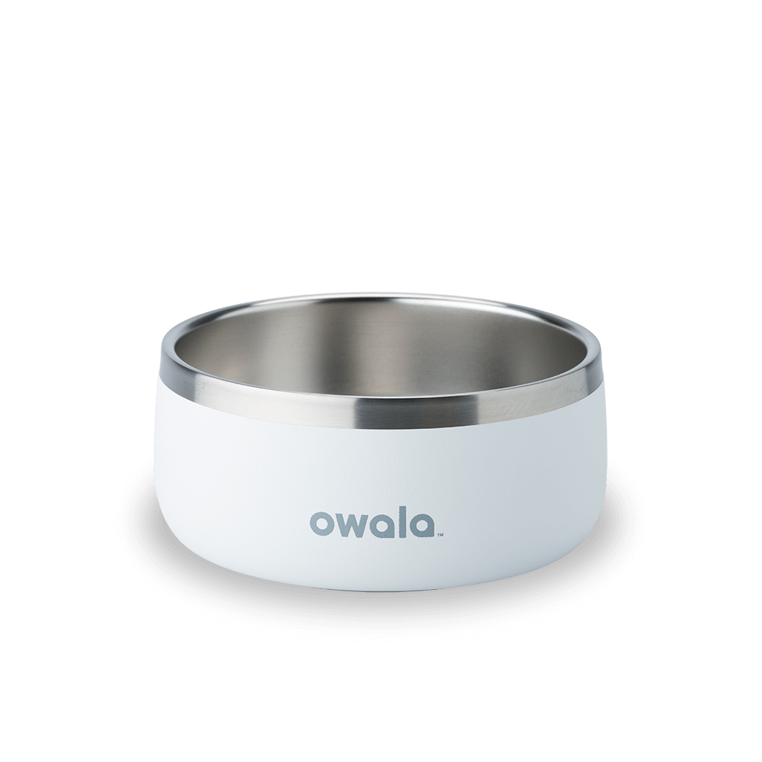 Pet Bowl Water Bottle KZFX9